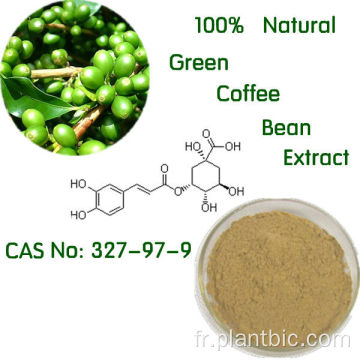 Poudre d&#39;extrait de grain de café vert acide chlorogénique